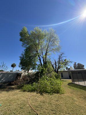 Open View Landscape And Tree Service