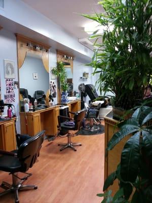 Yip's Beauty Salon