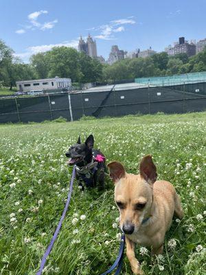 Central Park Tennis Center