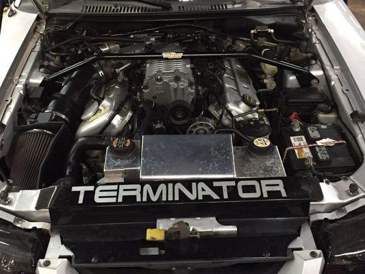 T & M Auto & Truck Repair