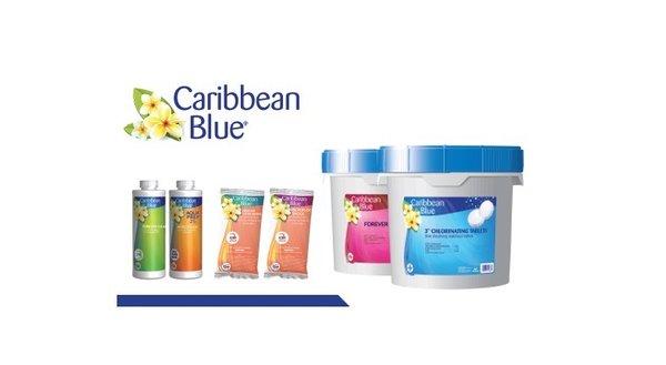 Custom Backyard Vacations