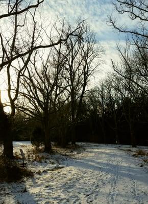 Greenway Meadows Park