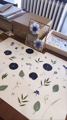 Floral preservation