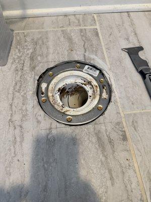 The Bearded Brush Services