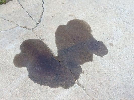 The oil that dripped from my Jeep after I took it to CARE Inc. It didn't leak until I had them change my oil.