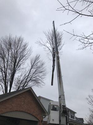 24/7 Tree Services, LLC