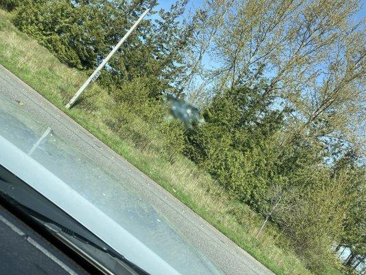 Rock Chip Repair N Roll