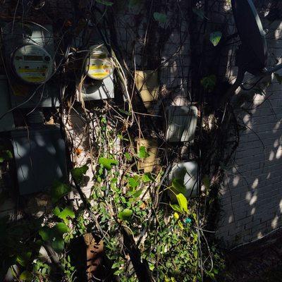 Hamilton Rent or Own