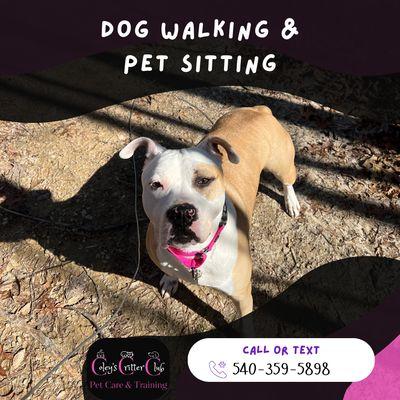 Coley's Critter Club