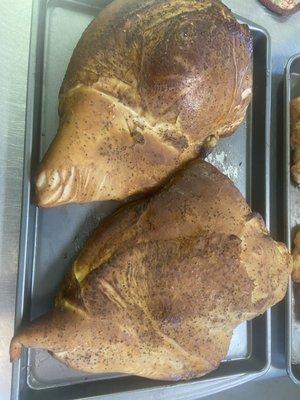 Coosa Pines Golf Club