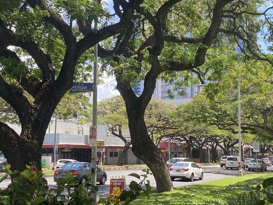 Flat tire on car in middle of Kapiolani Ave.