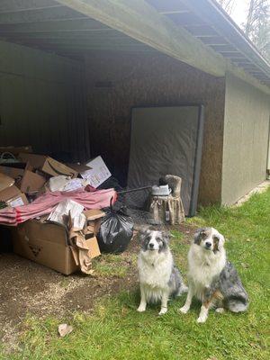 The pile kept growing!