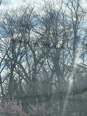 Christian Bible Church