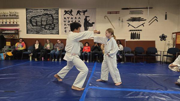 Hapkido Tae Kwon Do Institute