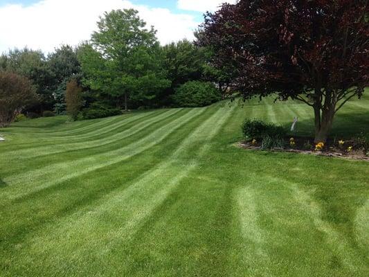 Stewart Bros Turf