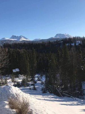 Residents love the Mountain View's all around!