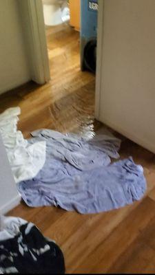 Puesta Del Sol Apartments