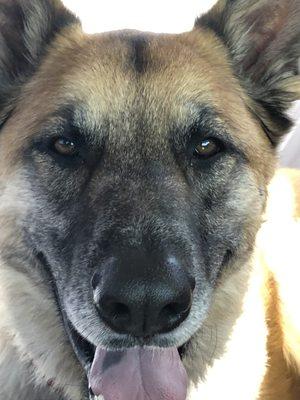 Delancey Street Moving & Transportation