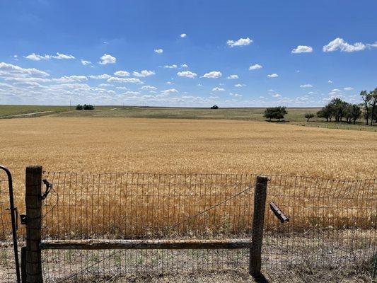 Midwest Telepsychiatry