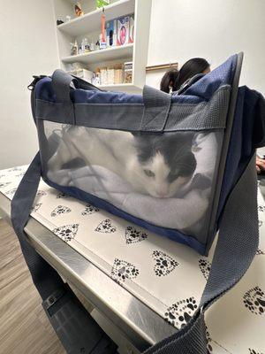 Heart of Chelsea Veterinary Group - Park Slope