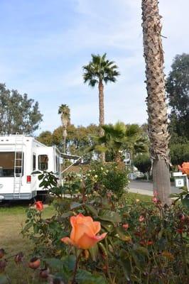 Lighthouse Resort & Marina