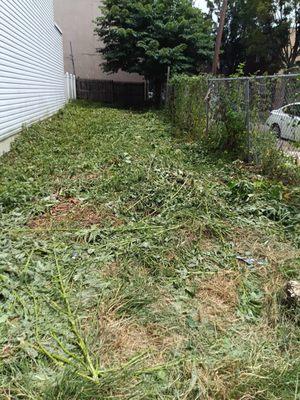 Another bas lawn care company LLC job done