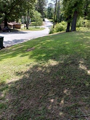 Davis Landscaping and Lawn Care Service