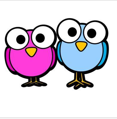 Dirty Birds Cleaning And More