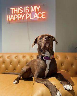 pupculture West 57th