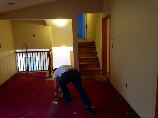 United Hardwood Floors