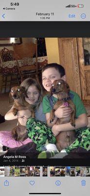 Boonesboro Animal Clinic