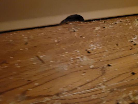 Sagecrest Apartments