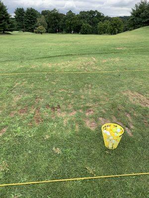 Paxon Hollow Golf Club