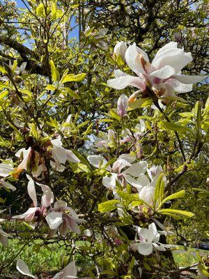 Harmony Hill Retreat Center