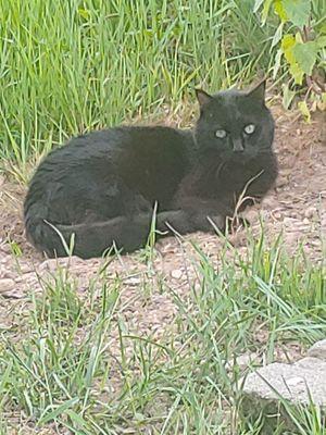 Sedro-Woolley Veterinary Clinic