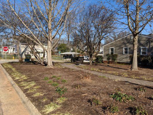 Carver Park, Raleigh NC