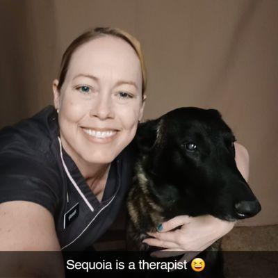 Massage Therapy Training Institute