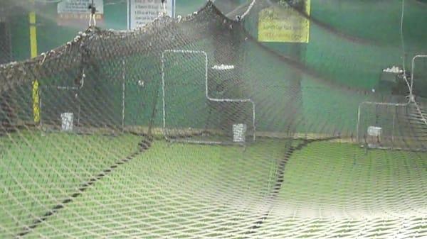 Line Drive Indoor Batting