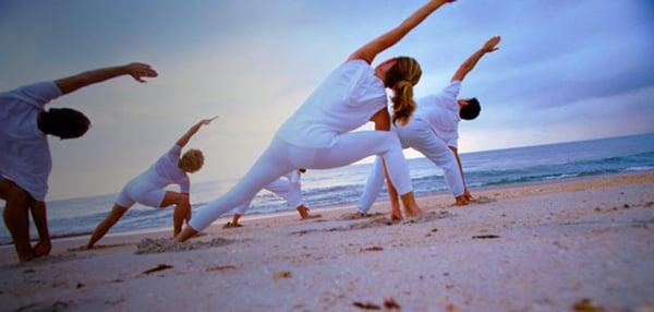 ProActive Chiropractic, PA