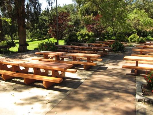 Montecillo De Leo Politi