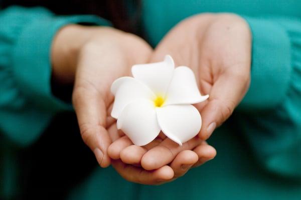 Lokahi Physical Therapy and Wellness