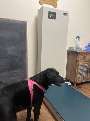 Terrell Veterinary Center