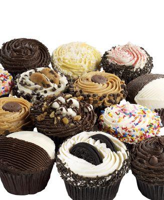 Harvest Bakery Cupcakes