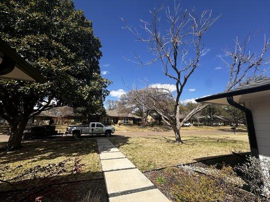 Javiers Professional