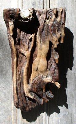 Earth Creatures Redwood