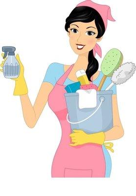 Nohemy's House Cleaning Services