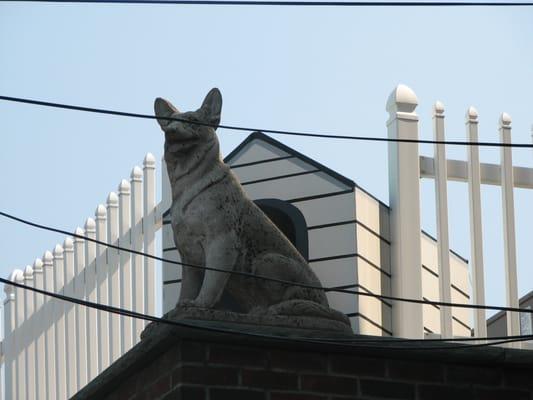 A Animal Clinic of Queens