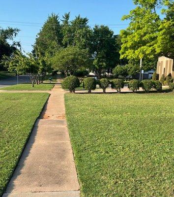 A nicely manicured lawn