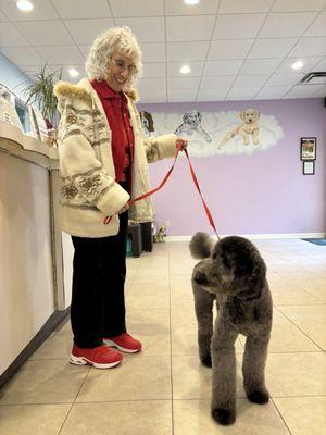 Lollipups Pet Resort