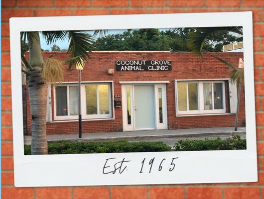 Coconut Grove Animal Clinic